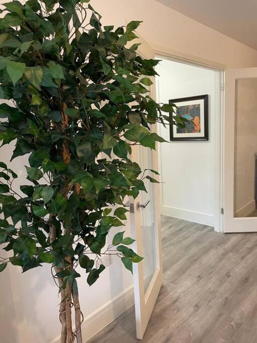 Stunning And Spacious 2Bed Flat In Central Woking Eksteriør bilde